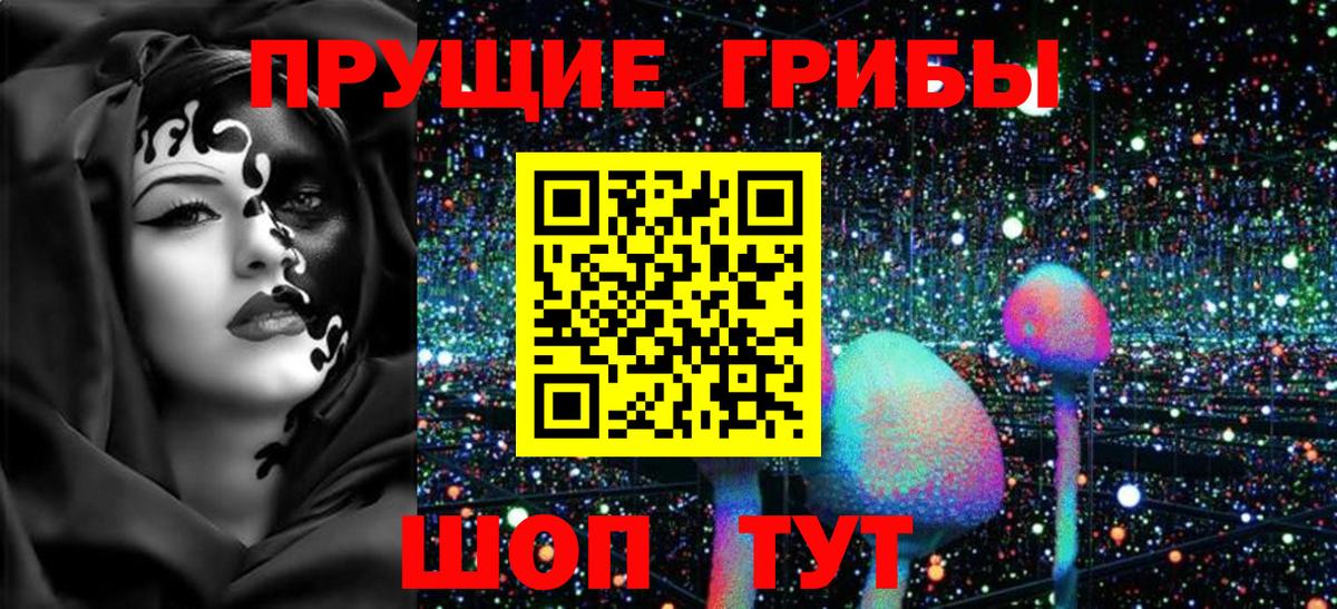Псилоцибиновые грибы мухоморы Междуреченск